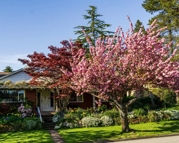 VANCOUVER, COLUMBIA BRITISH, CANADA - 24 de abril de 2019: Parque lindo Quilchena durante a primavera British Columbia Canada . — Fotografia de Stock