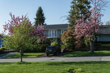 Vancouver, British Columbia, Kanada - 24 Nisan 2019 Britanya Kolumbiyası Kanada baharında Muhteşem Quilchena Parkı.