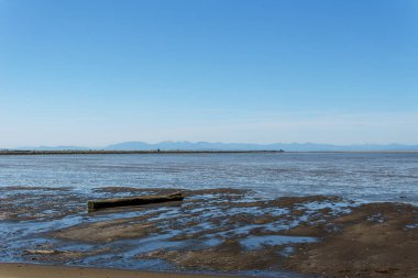 Iona Sahili Bölge Parkı Güneşli bir günde güzel bir manzarayla yürüyor.