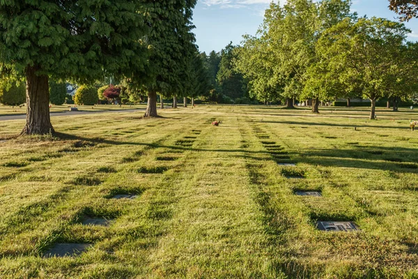 BURNABY, CANADA - JUNE 12, 2019: landscape view in Ocean View Cemetery with colorful trees in summer day. — Stock fotografie