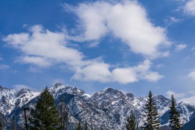 Güneşli bir bahar günü, ağaçlarla ve karla kaplı dağın en yakın manzarası.