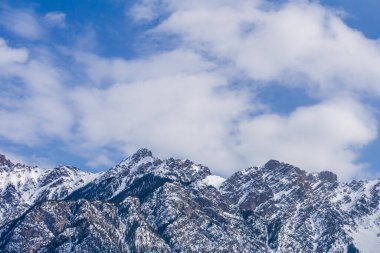 Güneşli bir bahar günü, ağaçlarla ve karla kaplı dağın en yakın manzarası.