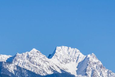 Güneşli bir bahar günü, ağaçlarla ve karla kaplı dağın en yakın manzarası.