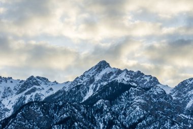Gün batımında, dağın tepesi, üzerinde ağaçlar ve kar olan yakın görüntüsü.