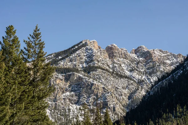 Vista Ravvicinata Della Cima Della Montagna Con Alberi Neve Esso — Foto Stock