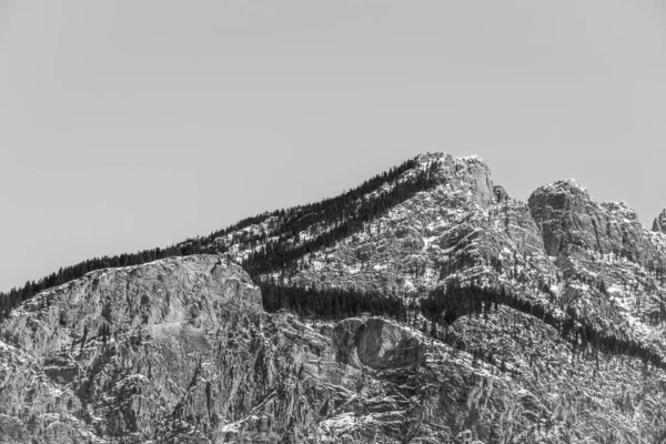 Närbild Bergstoppen Med Träd Och Snö Den Soliga Vårdagen — Stockfoto