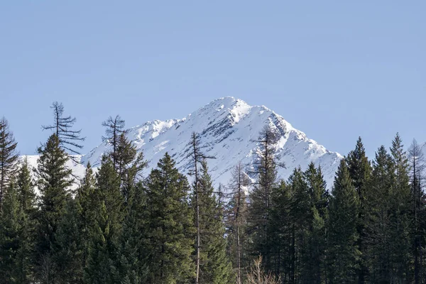 Vista Perto Pico Montanha Com Árvores Neve Nele Dia Primavera — Fotografia de Stock