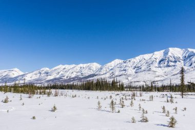 Kış manzarası karlı dağ sırasındaki geniş açık alan Alberta Canada