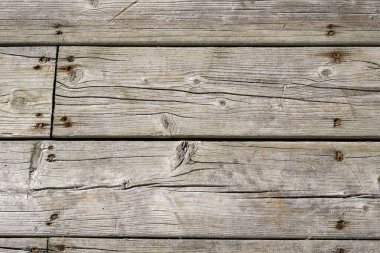 tasarım için doğal ahşap arka planı