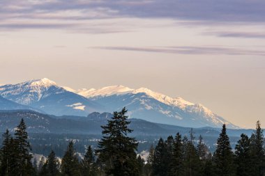 Bahar sabahı ağaçlar ve karla kaplı dağın tepesinin yakın görüntüsü.