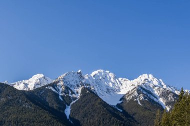 Güneşli bir bahar günü, ağaçlarla ve karla kaplı dağın en yakın manzarası.
