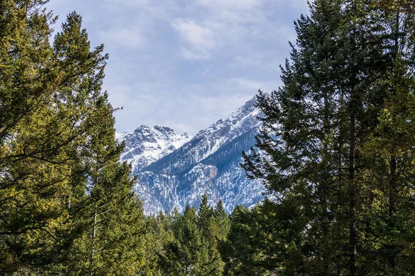 Vista Perto Pico Montanha Com Árvores Neve Nele Dia Primavera — Fotografia de Stock