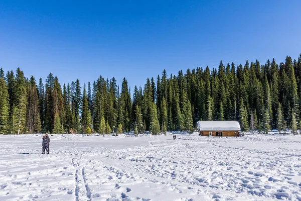 Lake Louise Canada Mars 2020 Klippiga Berg Runt Frusna Sjöar — Stockfoto