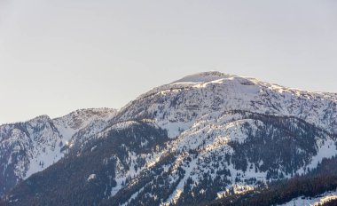 Güneşli bir bahar günü, ağaçlarla ve karla kaplı dağın en yakın manzarası.