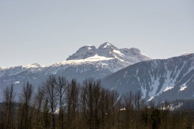Güneşli bir bahar günü, ağaçlarla ve karla kaplı dağın en yakın manzarası.