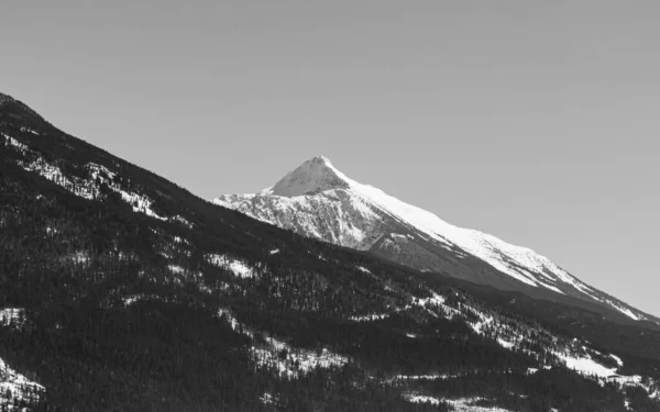 Vista Ravvicinata Della Cima Della Montagna Con Alberi Neve Esso — Foto Stock