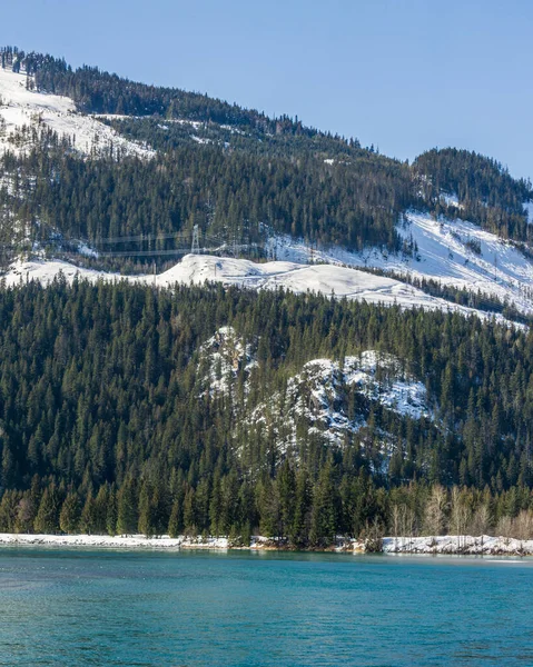 Foresta Verde Sulle Montagne Con Neve Nei Pressi Del Fiume — Foto Stock