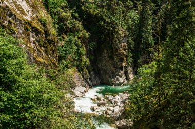 Dağ nehri ya da akarsu derin bir kanyon yeşil orman Britanya Kolombiyası Kanada