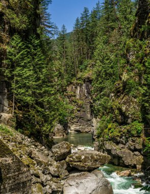Dağ nehri ya da akarsu derin bir kanyon yeşil orman Britanya Kolombiyası Kanada