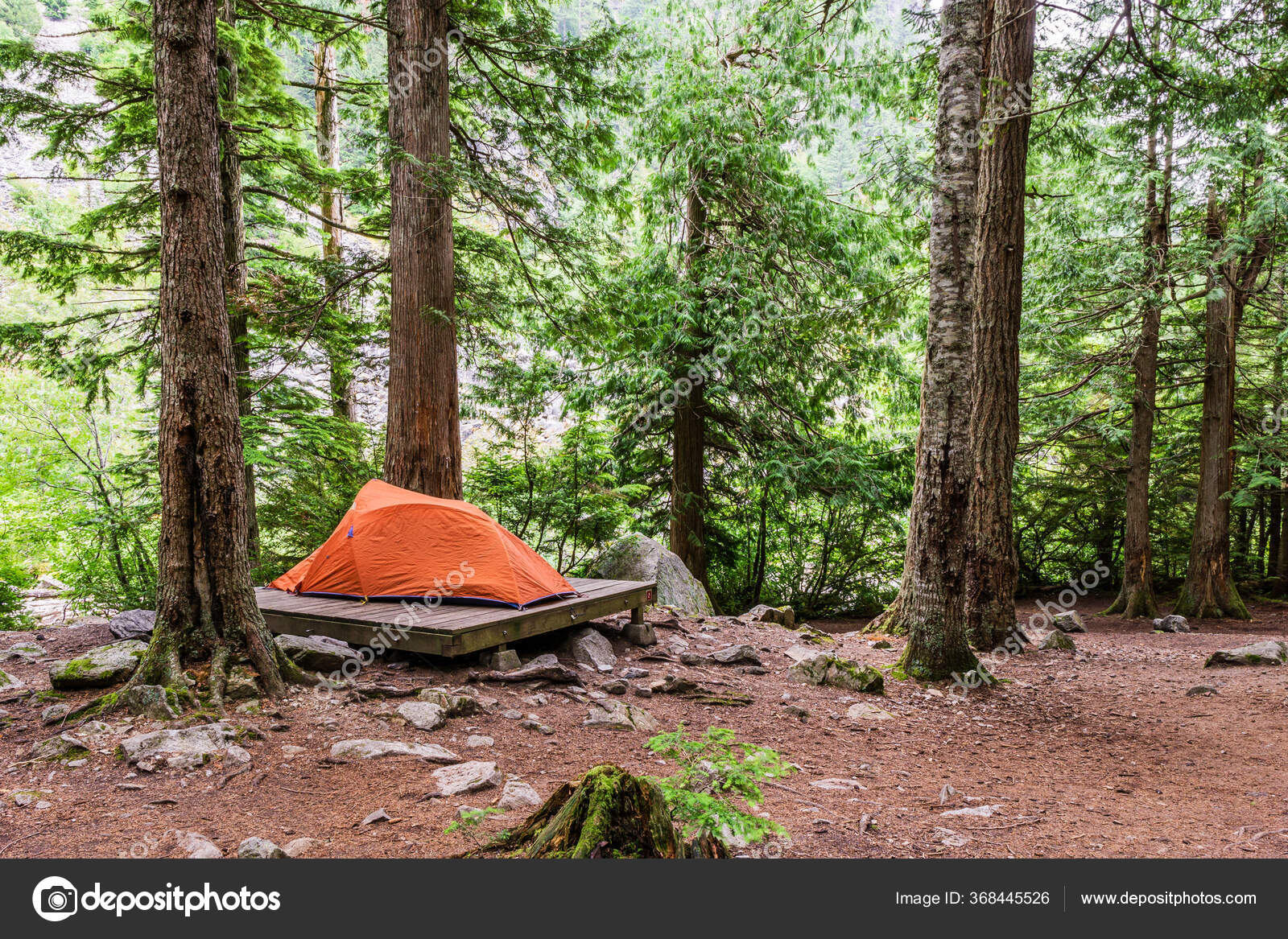 Camp Site Tent Hiking Trail Runs Forest Mountains British Columbia — Stock Photo © olegmayorov