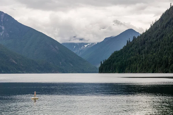 Hermosa Chilliwack Lago Verde Bosque Cielo Nublado Británico Columbia Canada — Foto de Stock