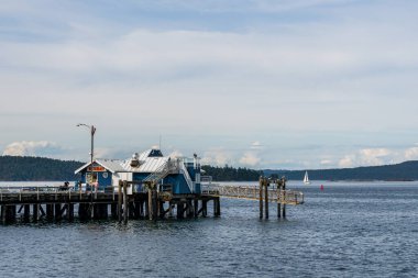 SIDNEY, CANADA - 14 Temmuz 2019: Alpine Sidney Spit Feribot ünlü turizm merkezi