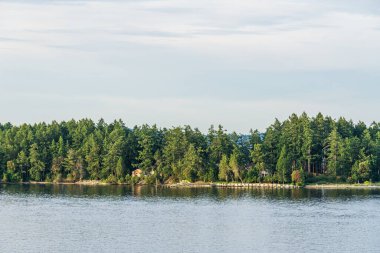 Dar kıyı, yeşil orman yüksek ağaçlar mavi gökyüzünde bulutlar yaz manzarası