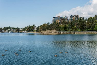 VICTORIA, CANADA - 14 Temmuz 2019: modern apartman binası küçük körfezde kesişiyor