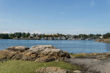 VICTORIA, CANADA - 14 Temmuz 2019: şehir merkezinde yatları ve modern binaları olan yoğun liman