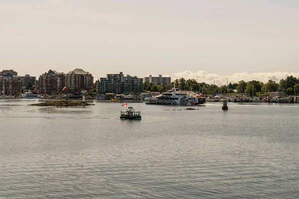 Victoria Canada Липня 2019 Зелений Морський Автобус Метушливій Гавані Центрі — стокове фото