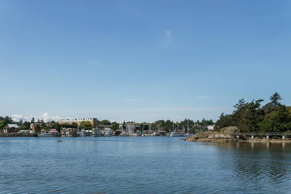 Victoria Canadá Julio 2019 Puerto Ocupado Centro Ciudad Con Yates —  Fotos de Stock