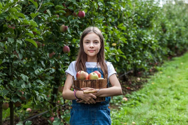 Bahçede ya da ağaçların yanında olgun elma dolu sepeti olan Yang kızı.