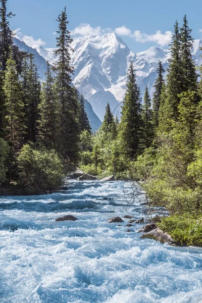 Kırgızistan'daki Oğuz Bashi tepe