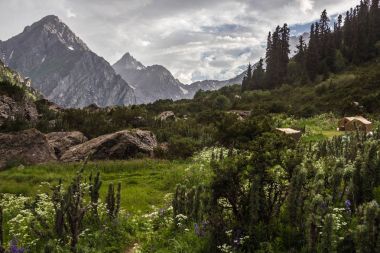 Göl yakınındaki kamp Glade