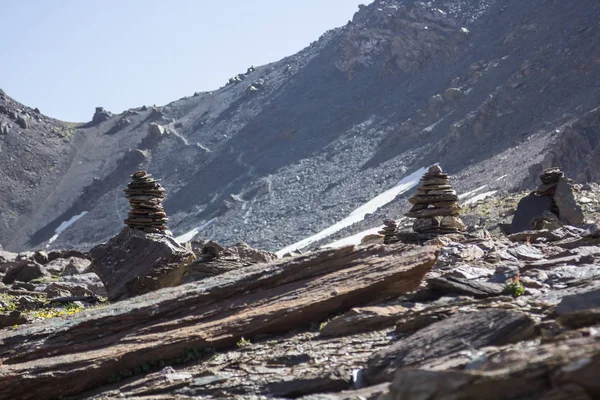 dağlarda vahşi soğan