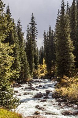 yağmur sonra güneş 
