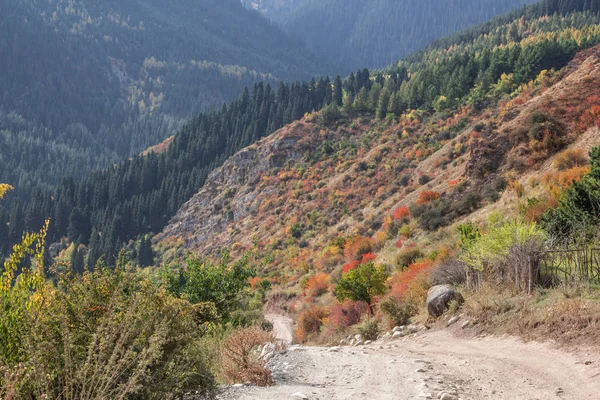Derma orman yolu üzerinde
