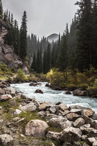 dağlar nehir ve orman