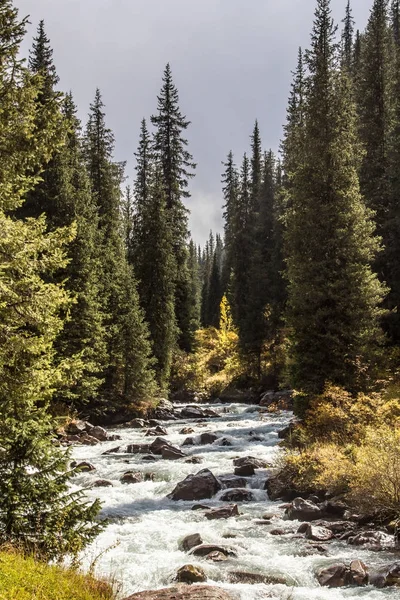 yağmur sonra güneş 