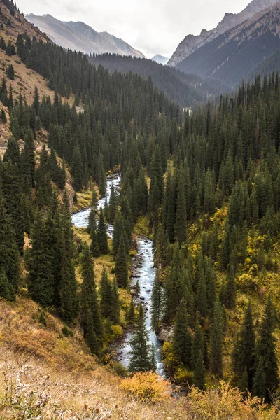 nehir Arashan gidiyor düşünce orman