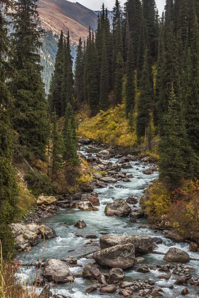 dağ nehir dar vadi boyunca akan orta taşlarla