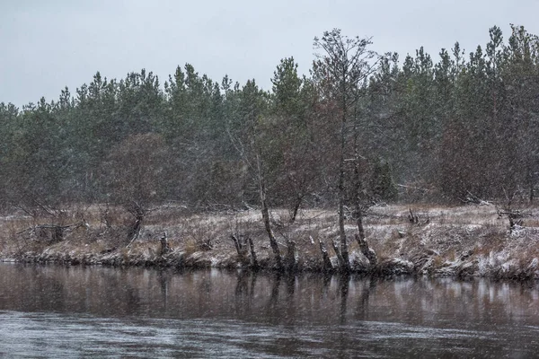 Rus evinin yanında duran kapının görüntüsü. Rusya 'nın derinliklerinde bir Rus köyü.