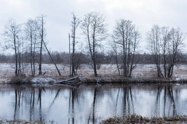 Rus evinin yanında duran kapının görüntüsü. Rusya 'nın derinliklerinde bir Rus köyü.