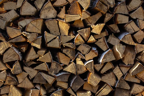 Serbest huş ağacının en tepesinde bir karga vardır. Arka planda hafif mavimsi bir gökyüzü görebilirsiniz. Huş ağacında henüz yaprak yok.