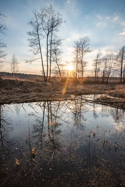 Etrafı yüksek kıyılar ve ağaçlarla çevrili küçük bir bataklık gölü. Suda, güneş ayakta duran ağaçları yansıtır..