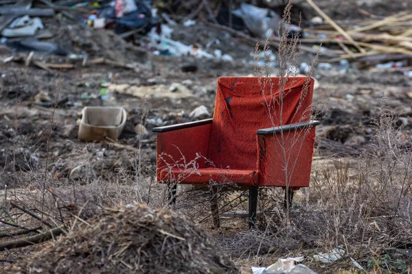 Birkaç çam ağacının büyüdüğü bir huş ağacı ormanı. Birch hala yapraksız duruyor. Ön planda güzel bir çam gövdesi var. Ormanda dar bir yol var.