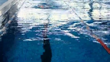 Malchih profesyonel olarak havuzda iyi