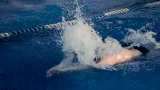 Malchih profesionalmente bien en la piscina — Vídeo de stock