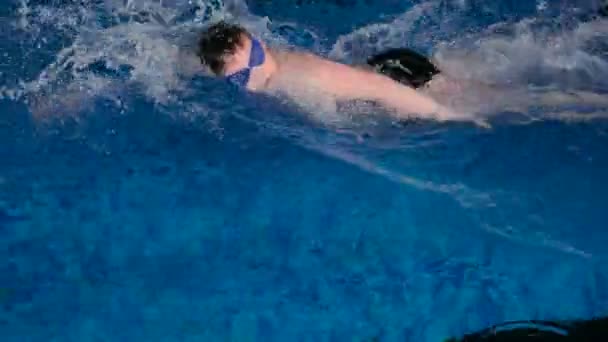 Malchih professioneel goed in het zwembad — Stockvideo