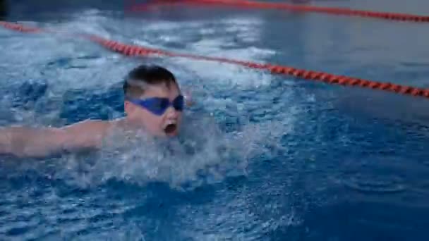 Malchih profesionalmente bien en la piscina — Vídeo de stock